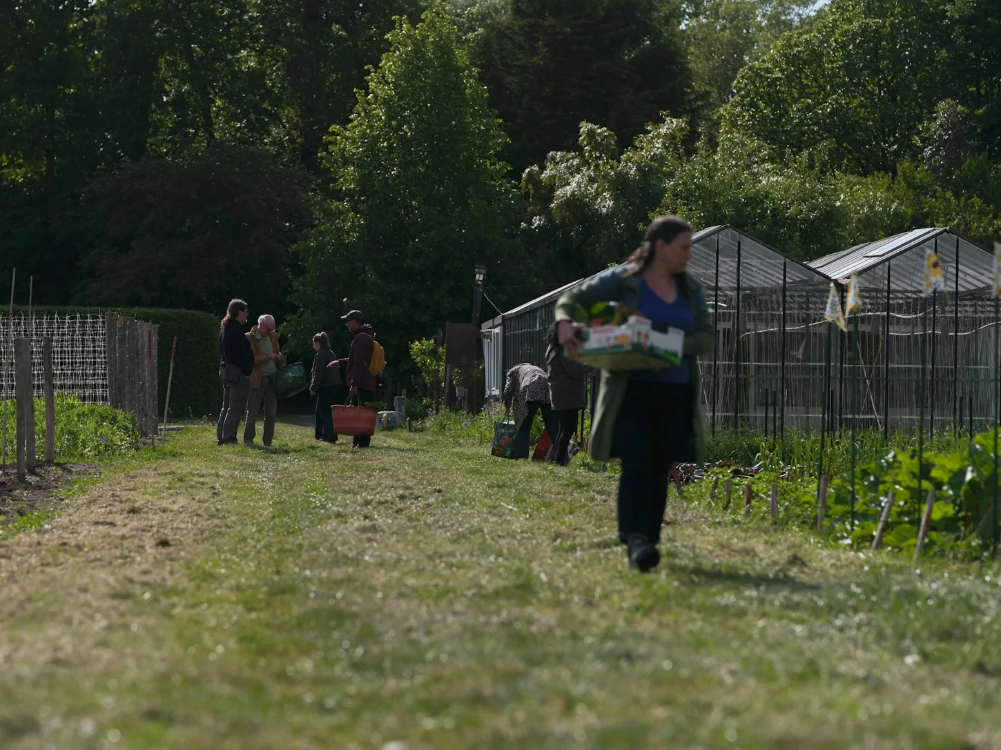 Community members taking part in a growing project